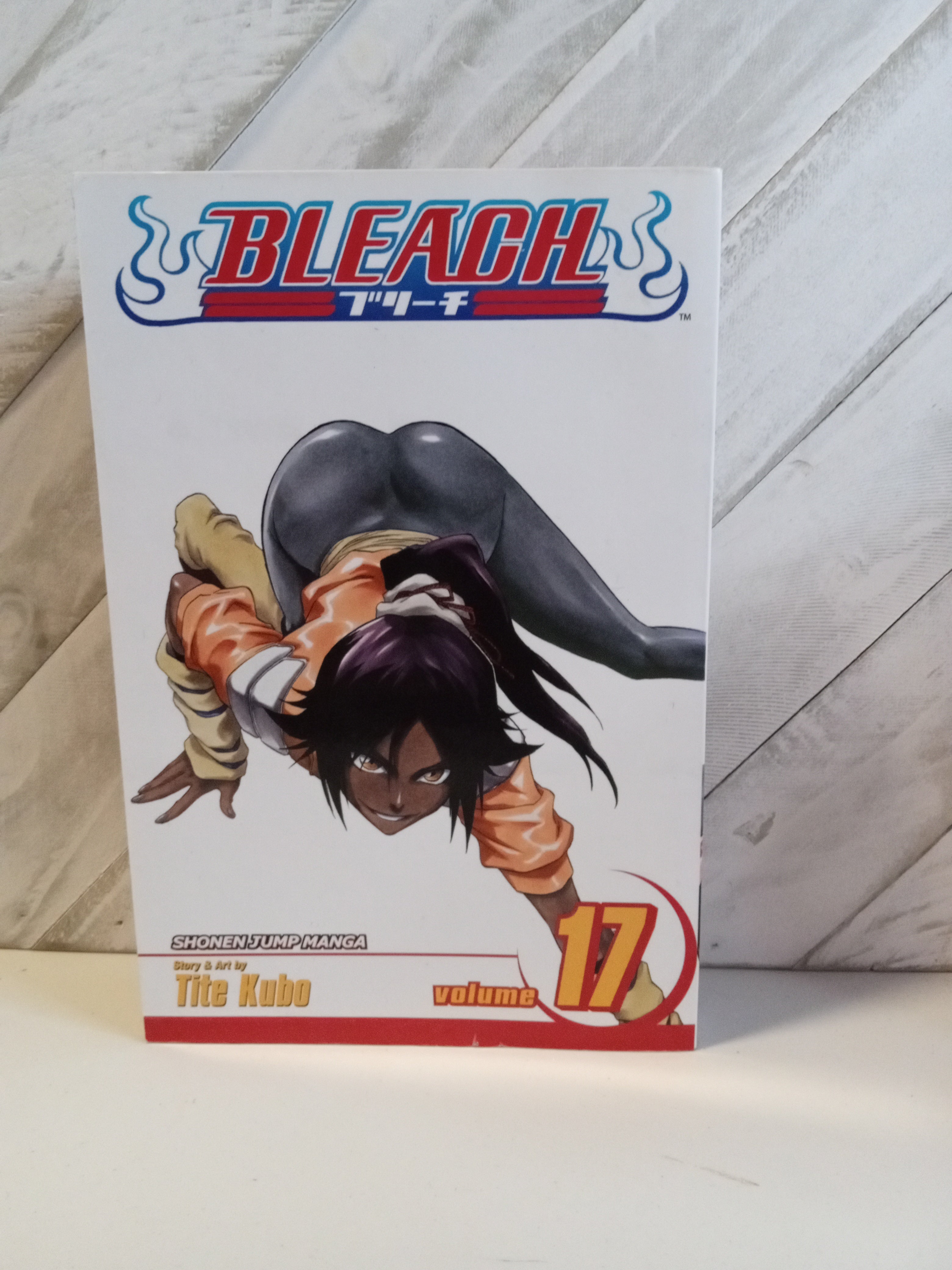 Bleach, Vol. 17