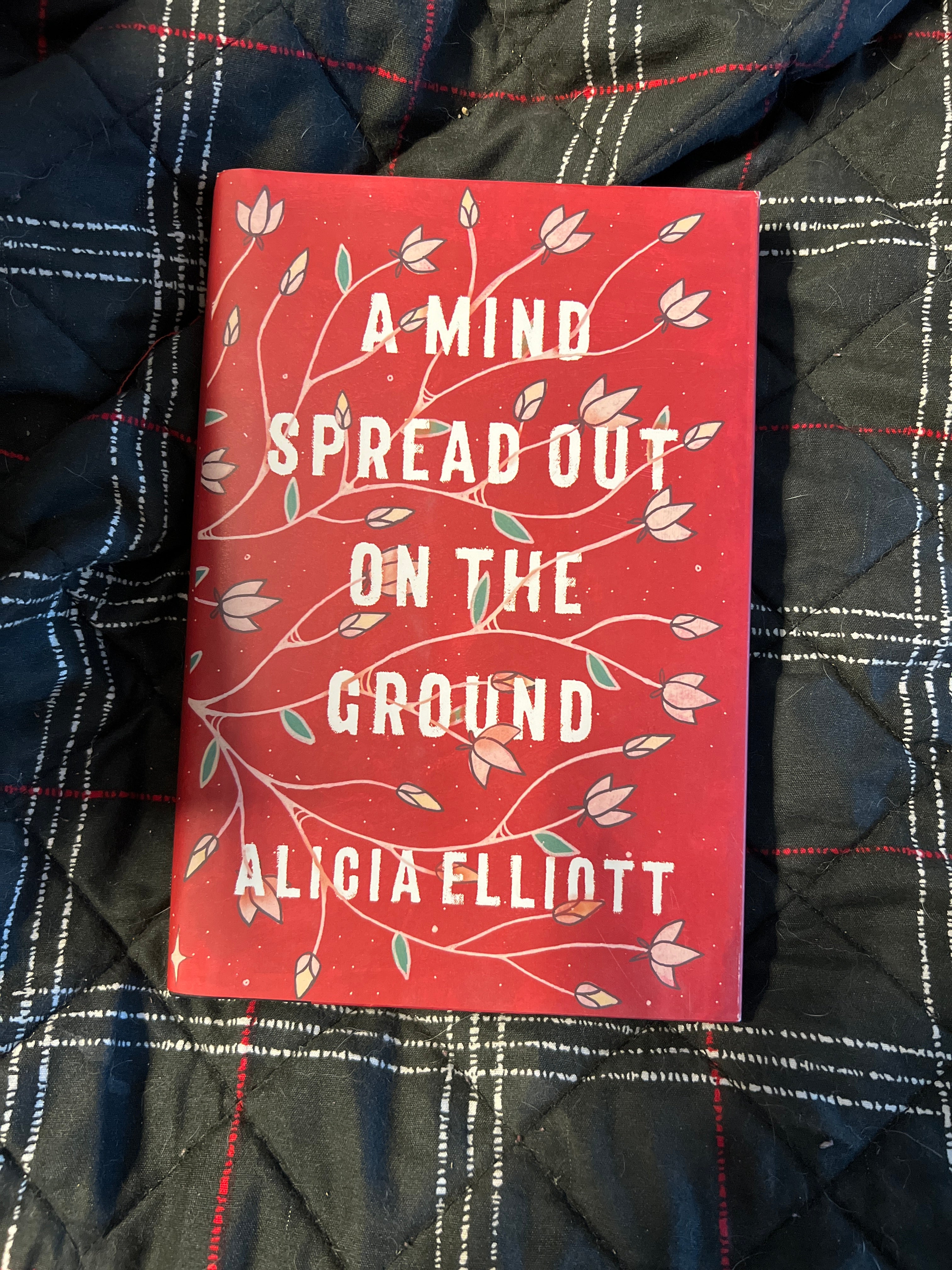 A Mind Spread Out on the Ground