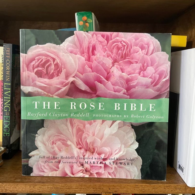 Rose Bible