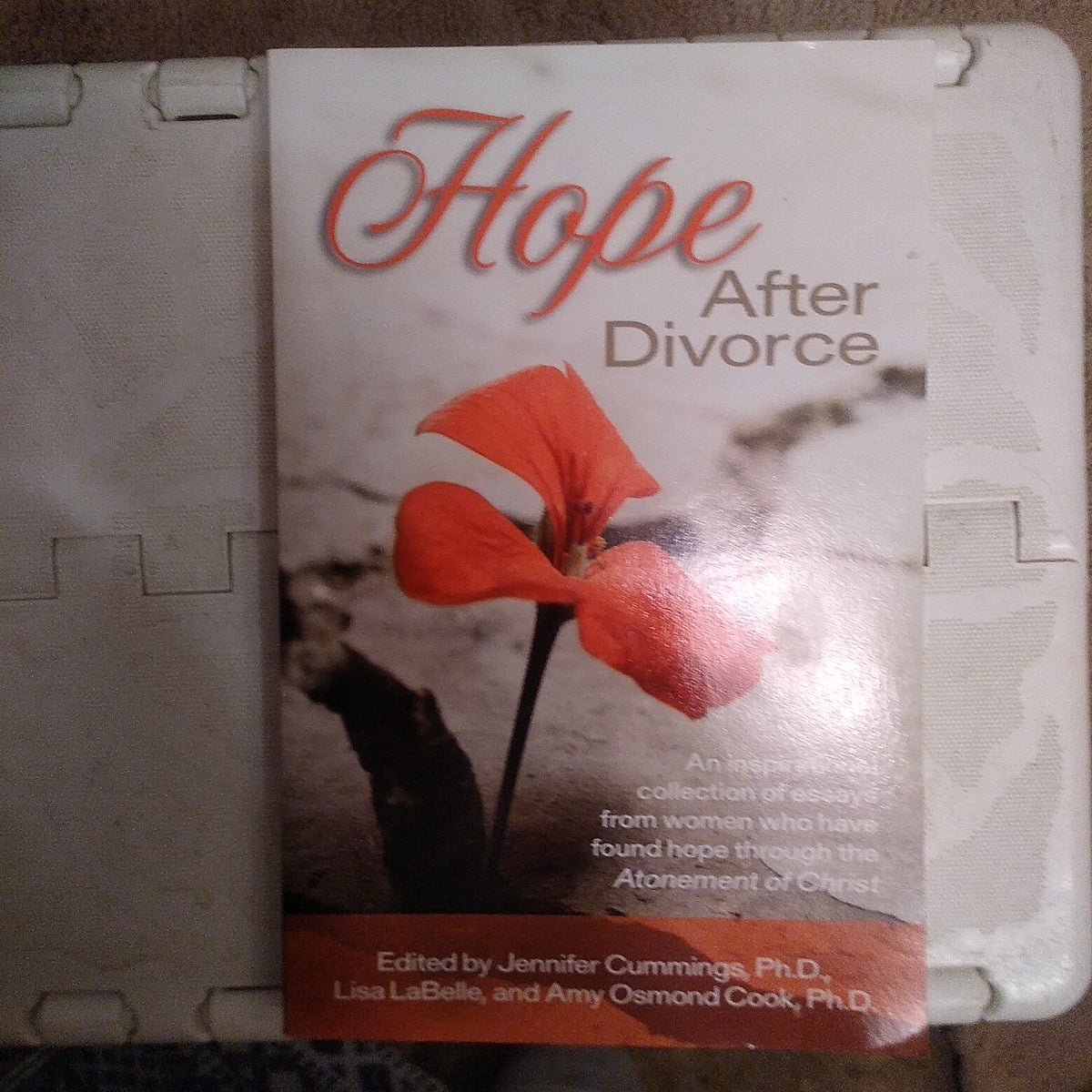 Hope after Divorce