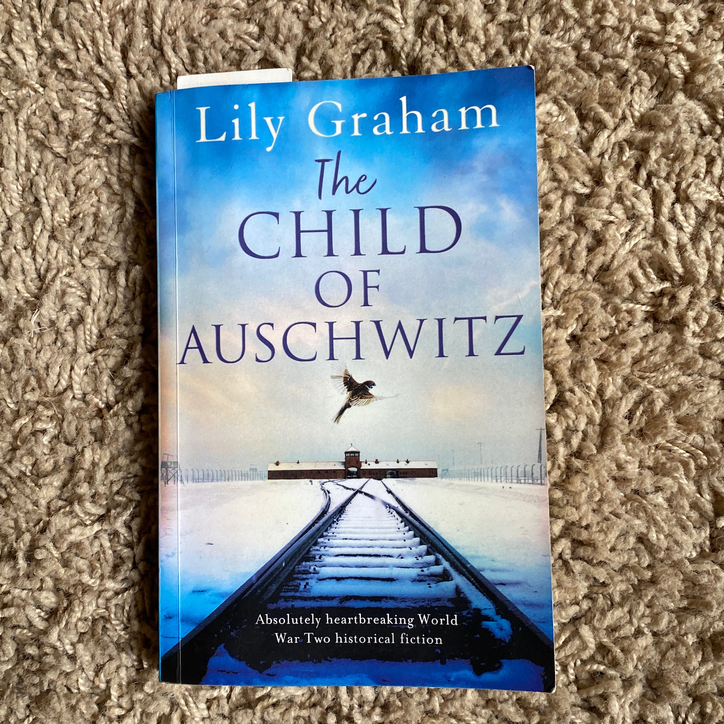 The Child of Auschwitz