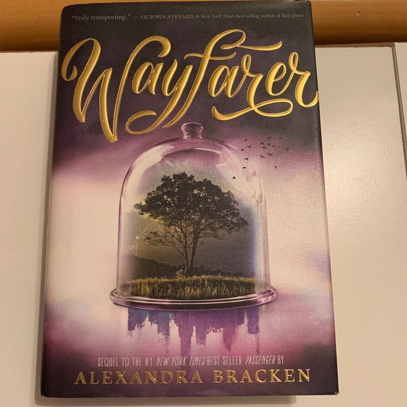 Wayfarer (a Passenger Novel, Book 2)