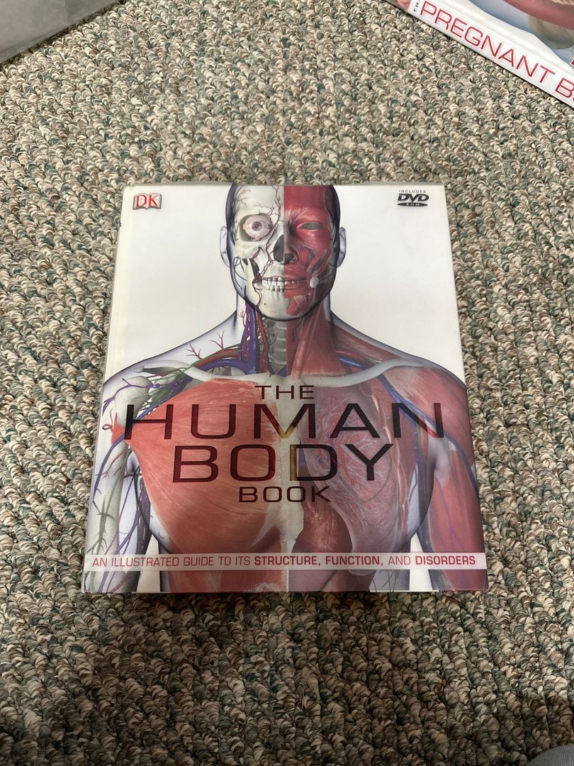 The Human Body