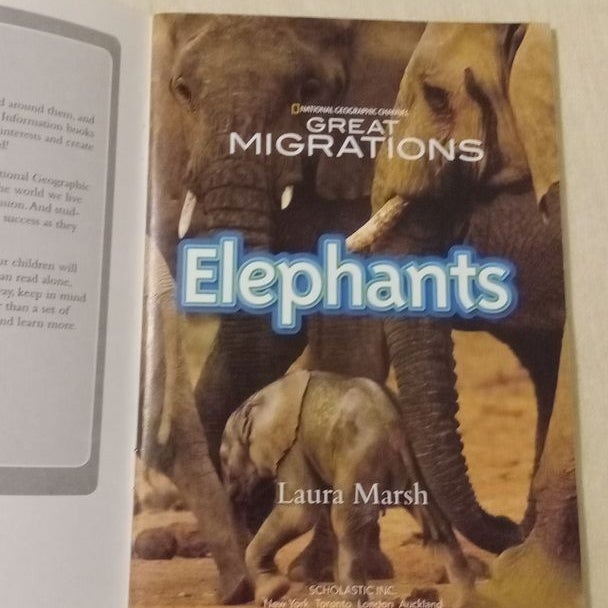 Great Migrations : Elephants