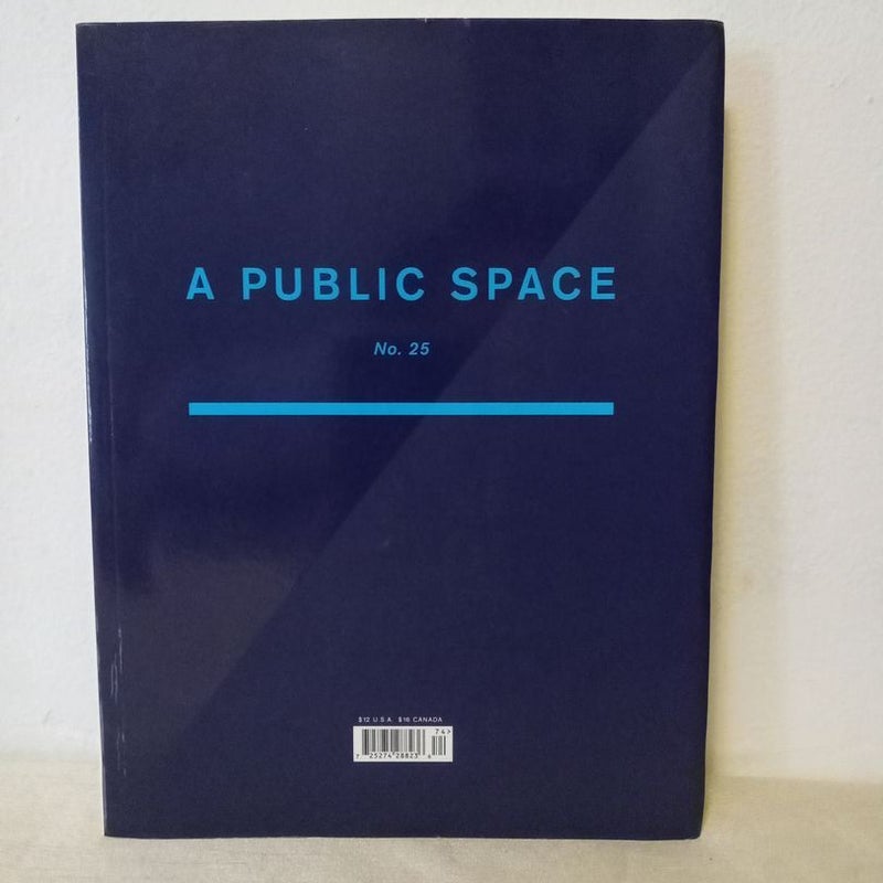 A Public Space No 25 , 2017