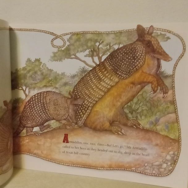 Armadillo Rodeo