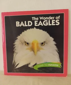 The Wonder Of Bald Eagles 
