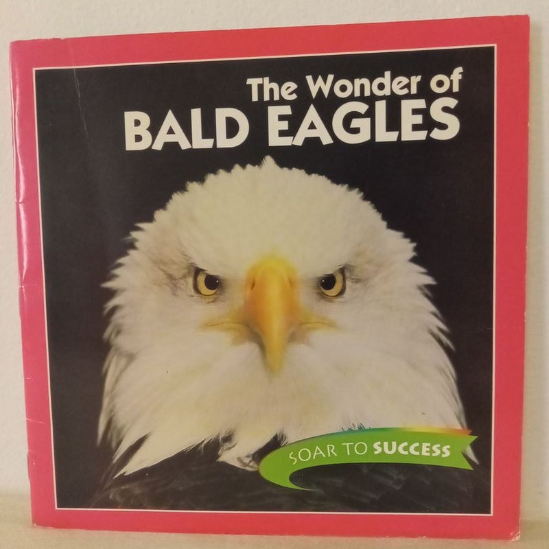 The Wonder Of Bald Eagles 