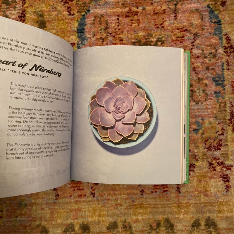 The Little Book of Cacti and Other Succulents