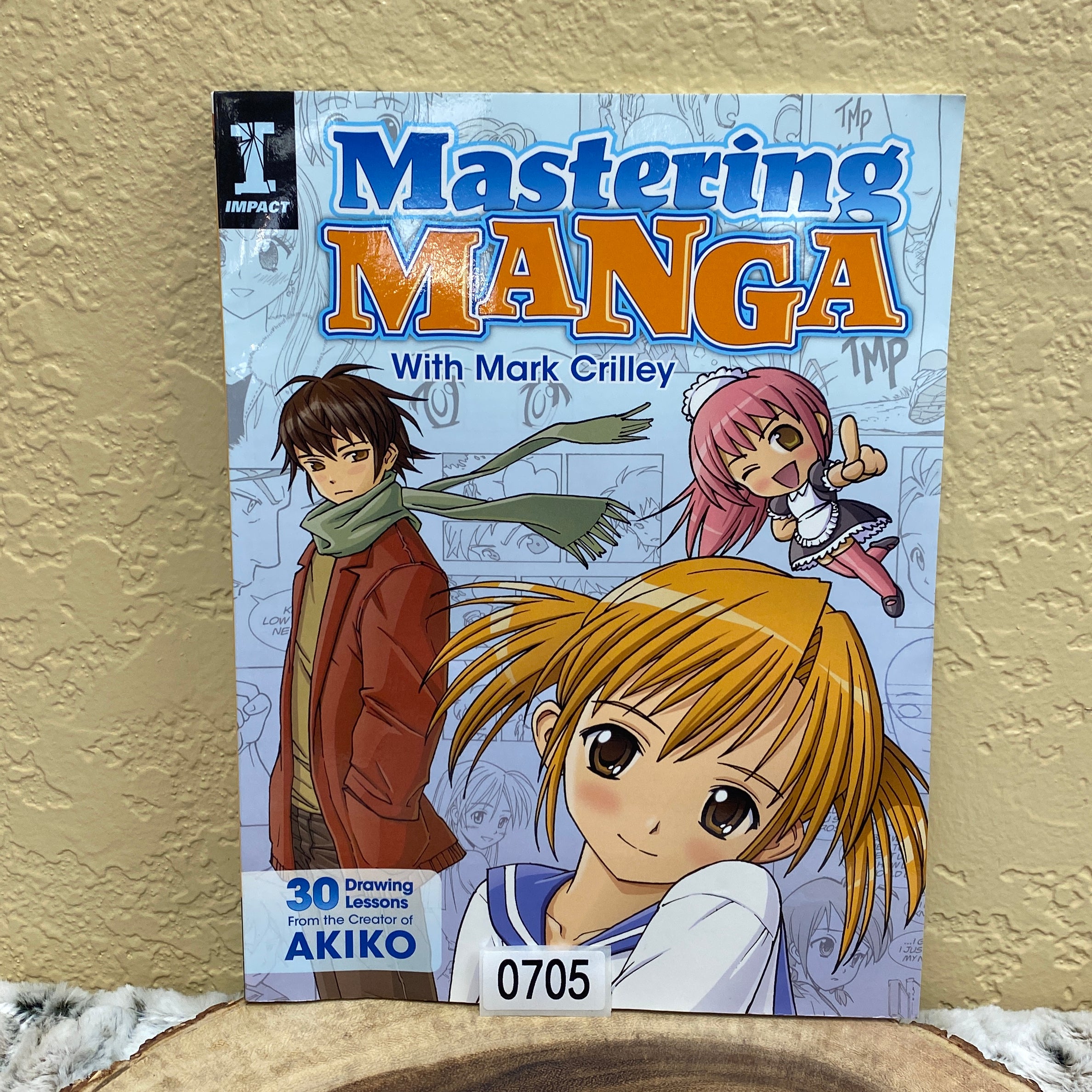 Mastering Manga