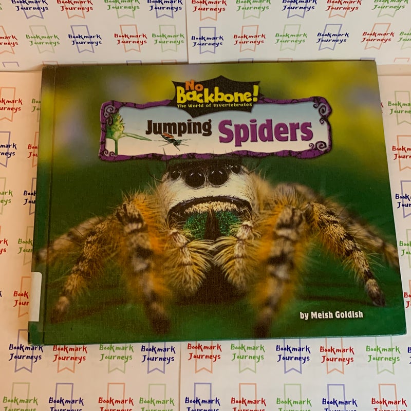 Spiders!  High-Interest Science Book Bundle