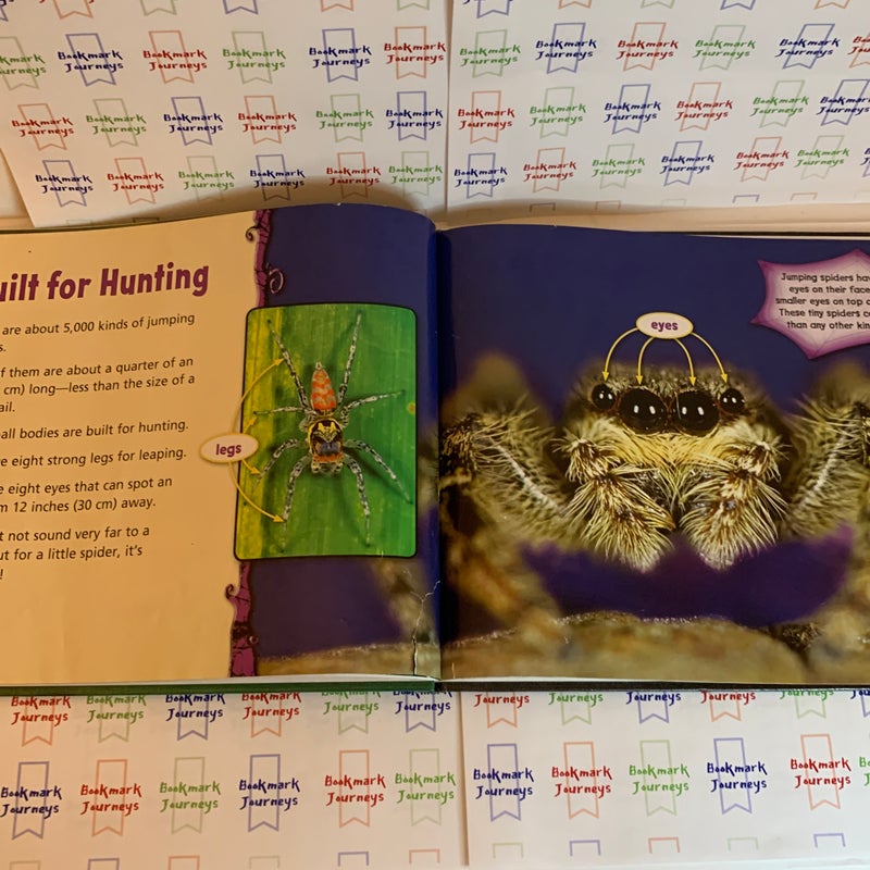 Spiders!  High-Interest Science Book Bundle