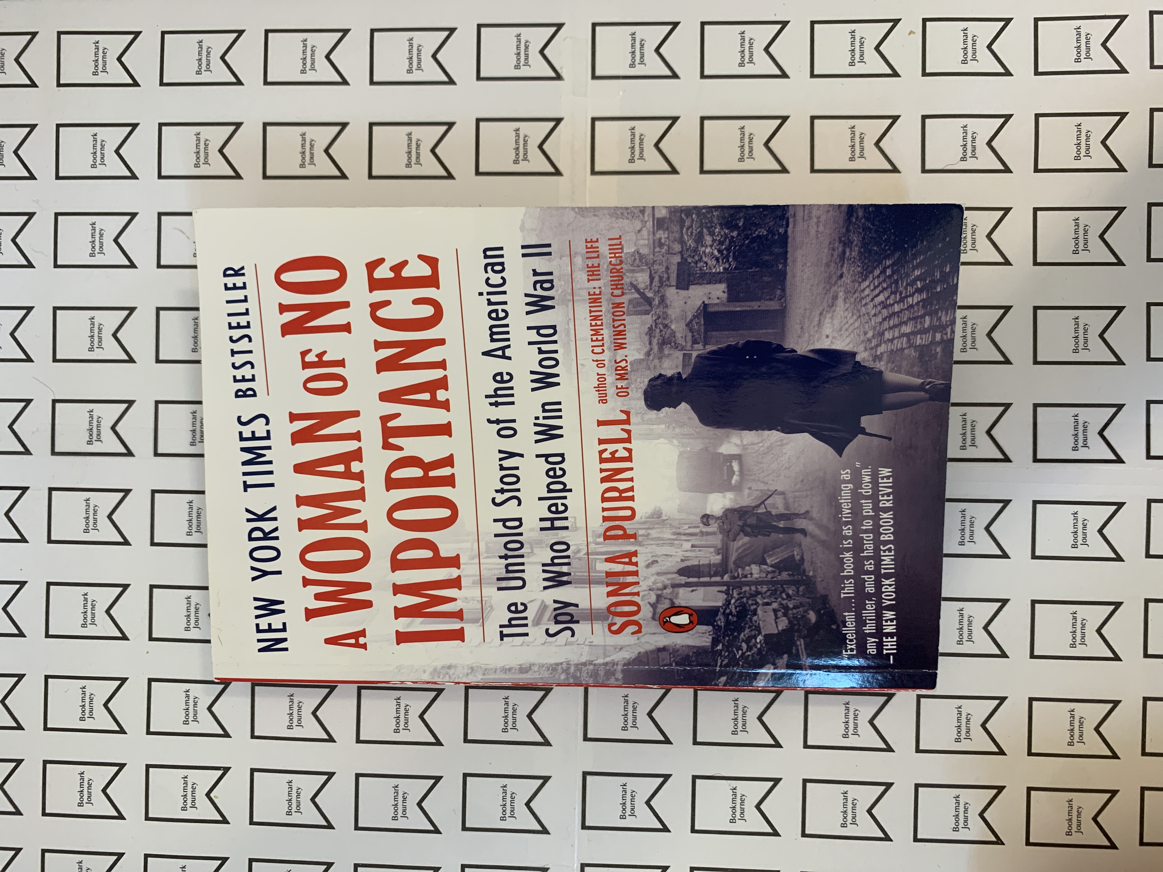 A Woman of No Importance book cover