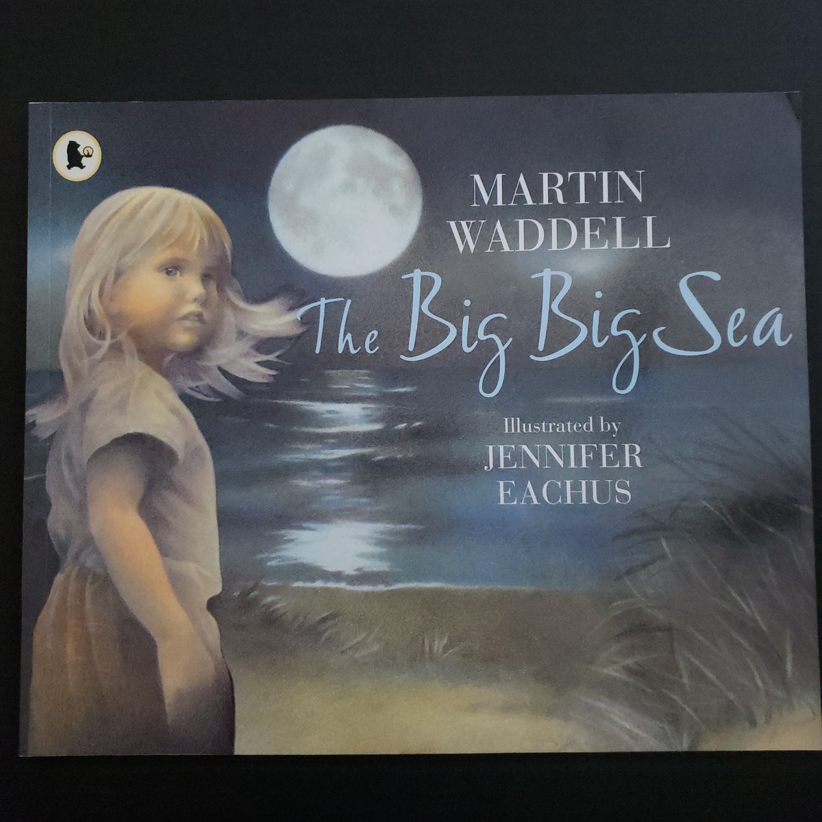 The Big, Big Sea by Martin Waddell