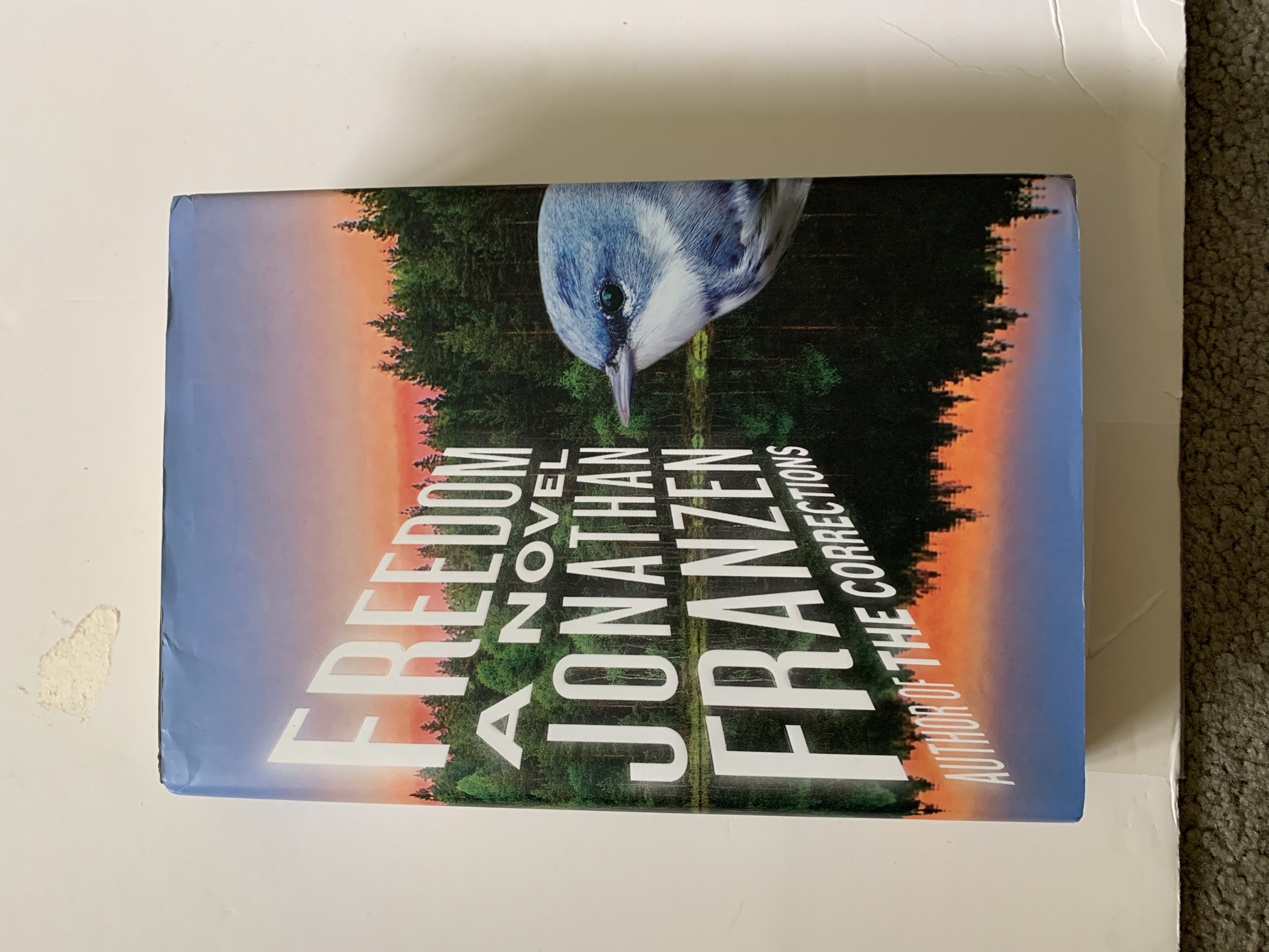 Sale image for 31a1df6f-4239-4684-bc07-1ce465702902-UF6hqbfNKtfgJEC3mUR1kJT8z1k1