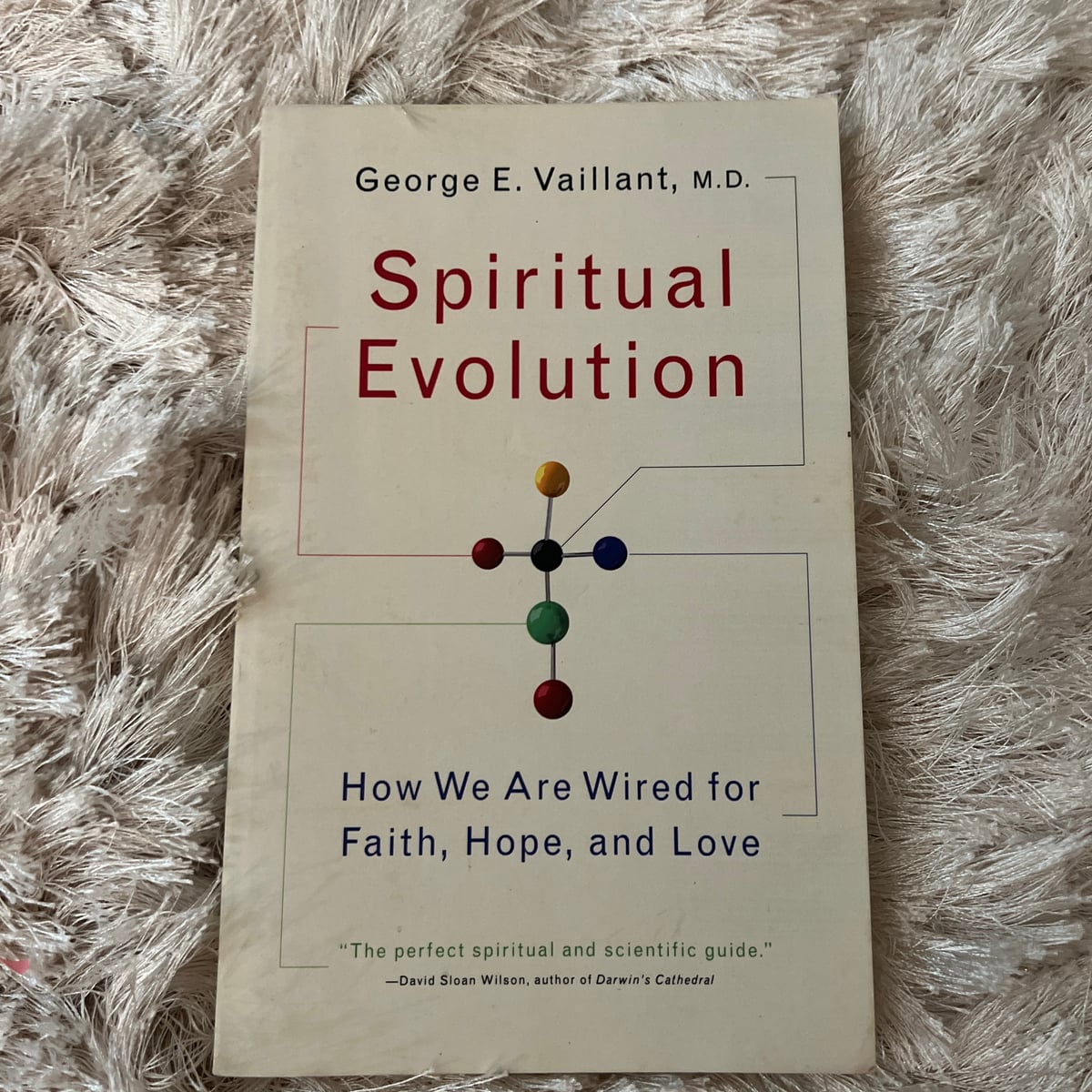 Spiritual Evolution by George Vaillant