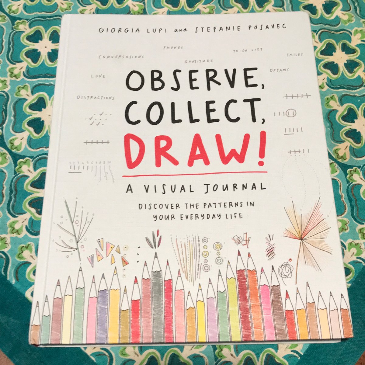 Observe, Collect, Draw! by Giorgia Lupi, Stefanie Posavec