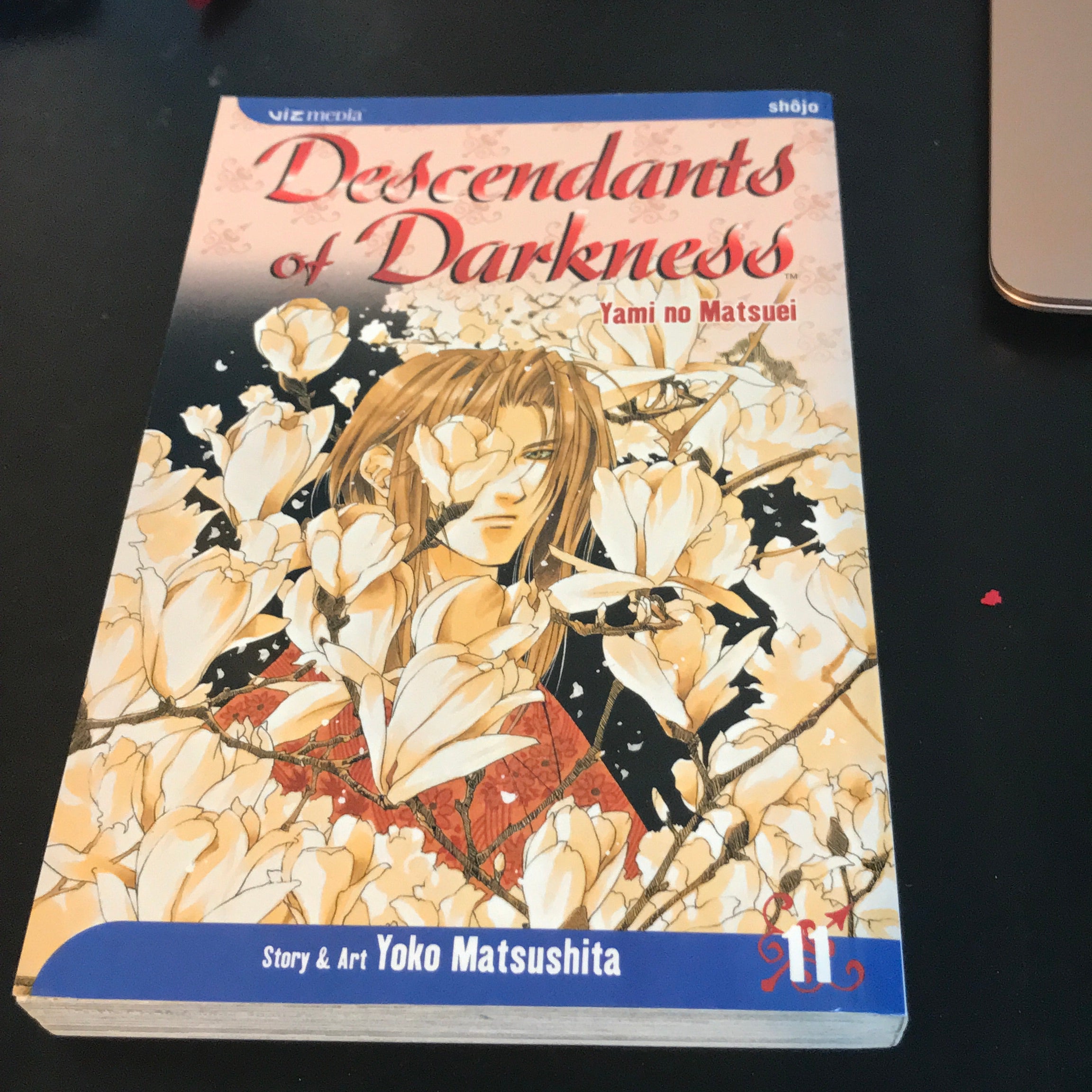 Descendants of Darkness, Vol. 11