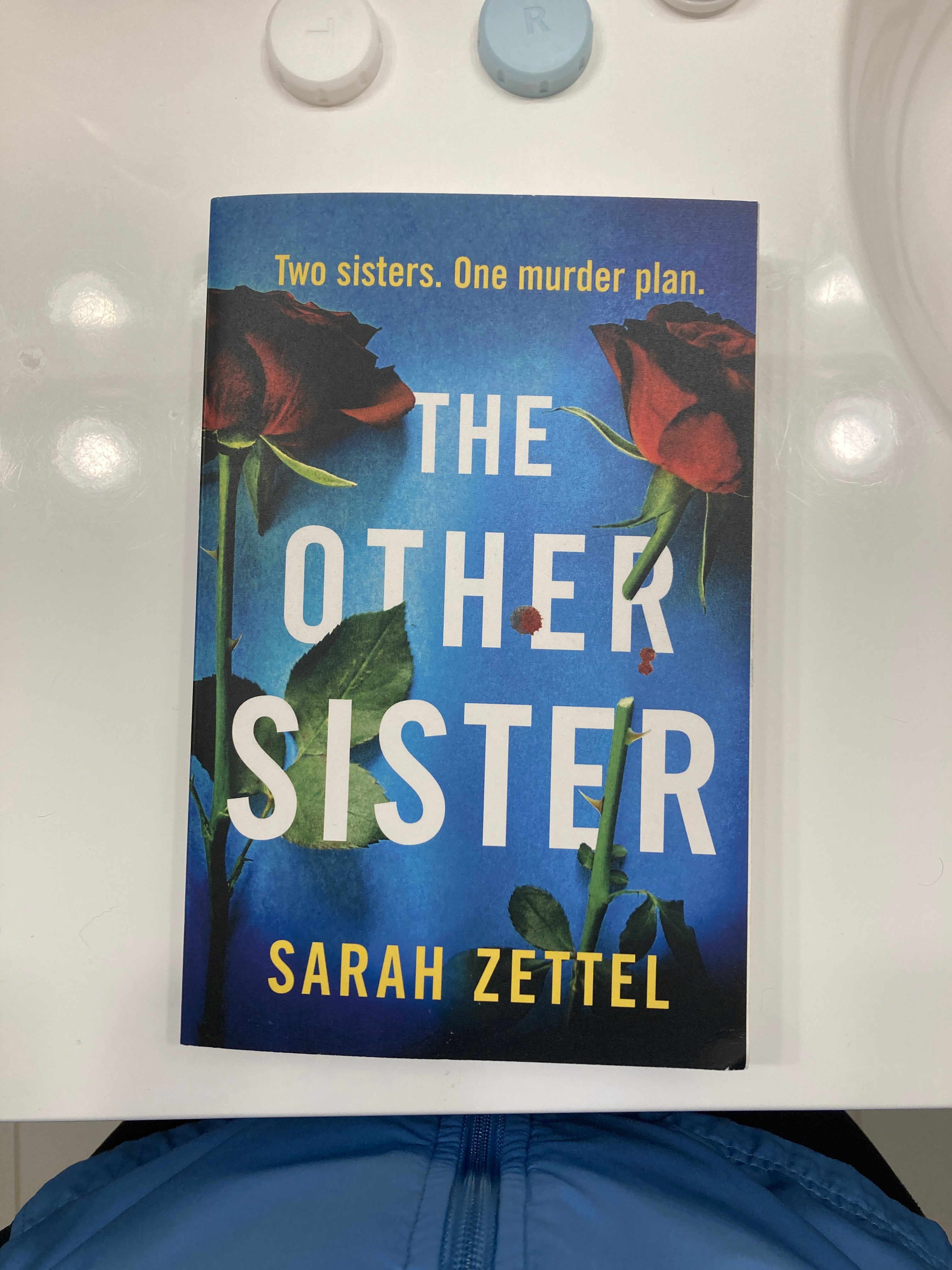 The Other Sister