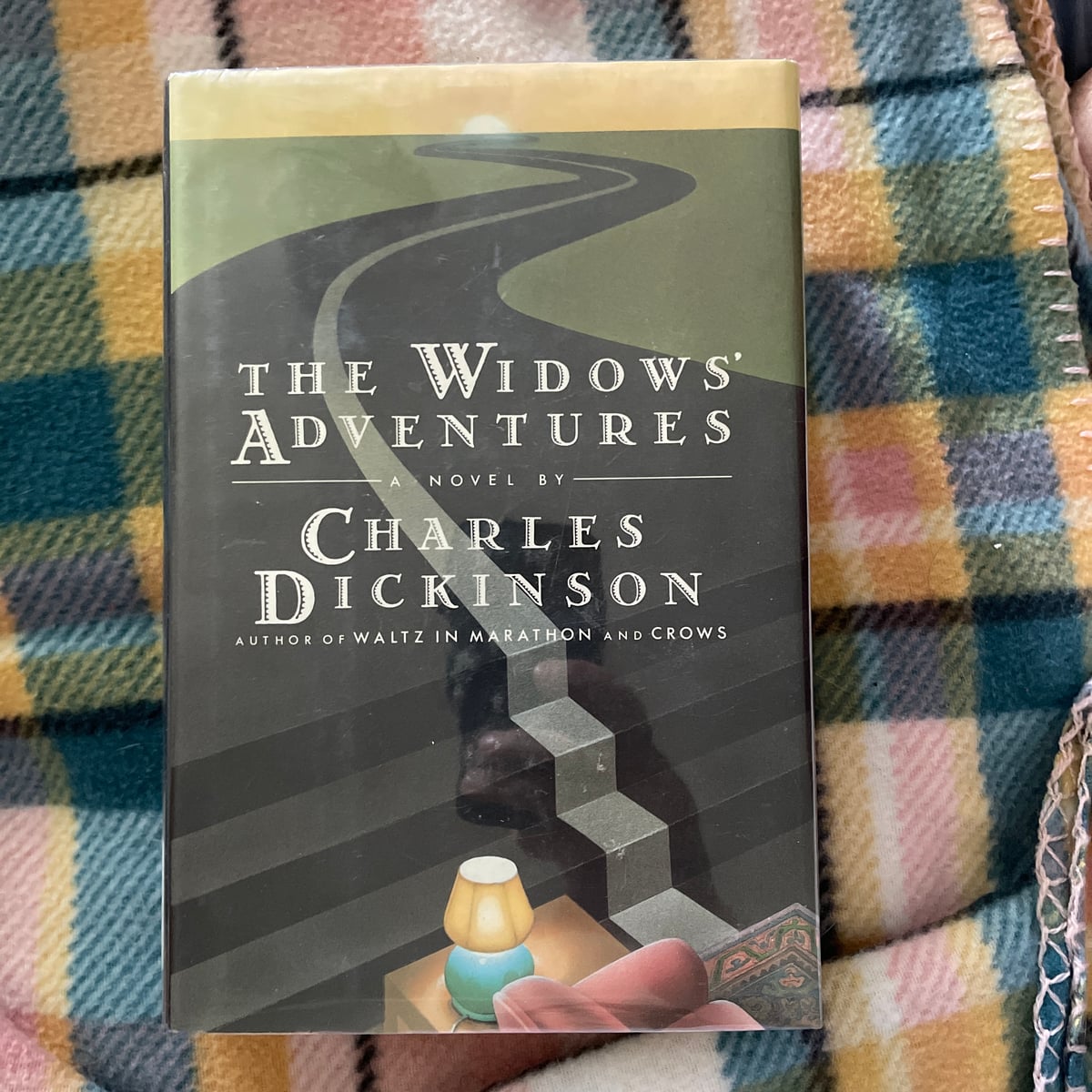 The Widows' Adventures by Charles Dickinson