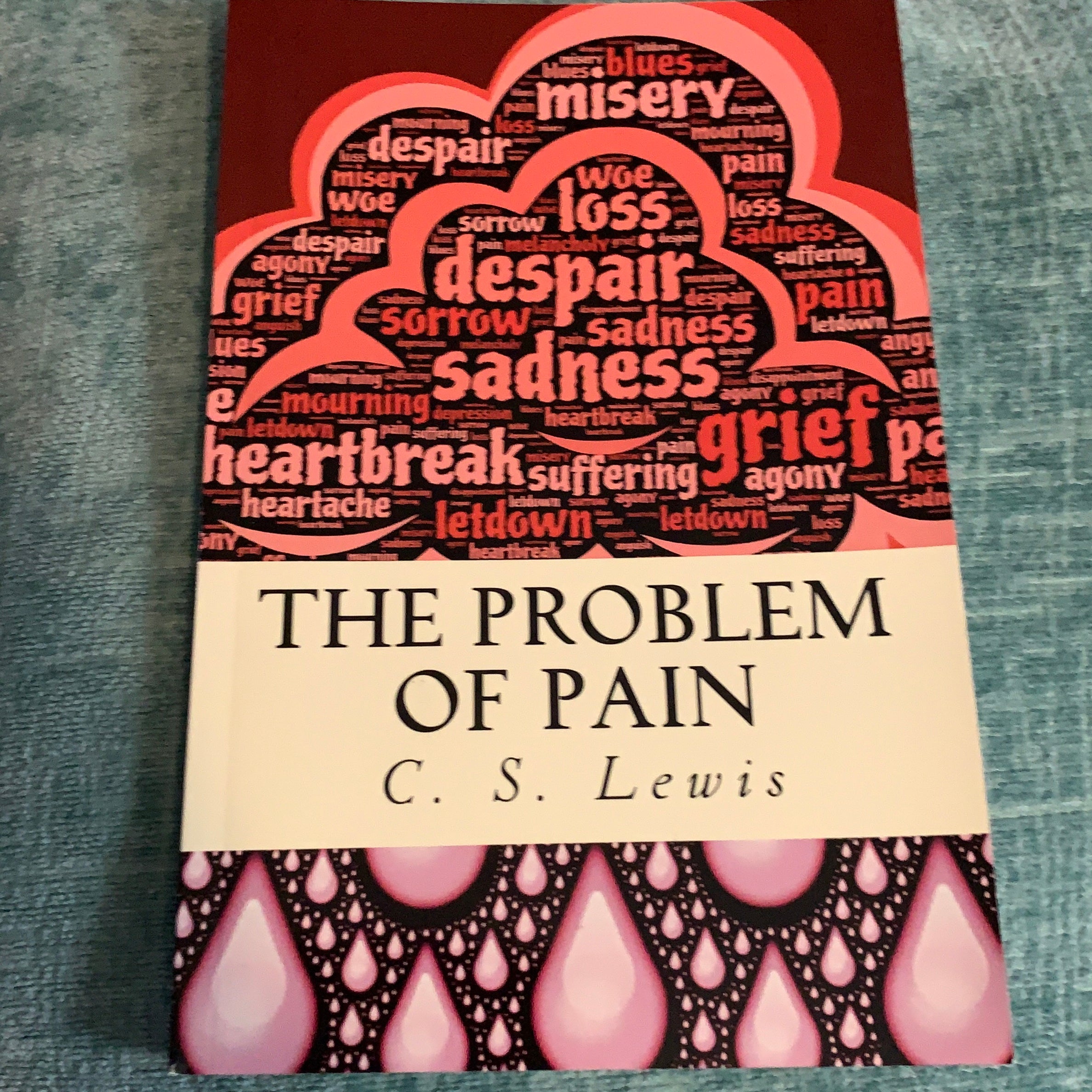 The Problem of Pain