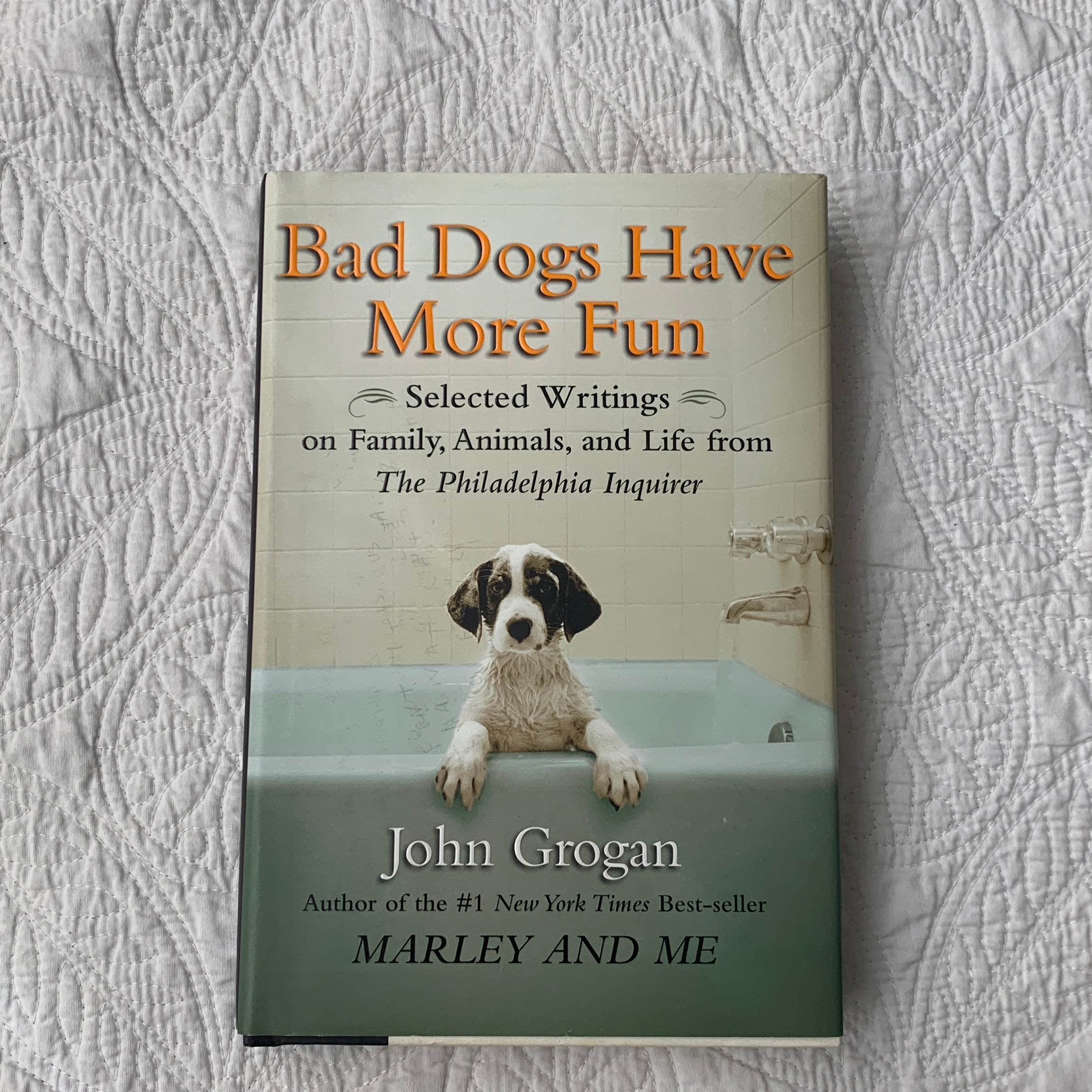 Bad Dogs Have More Fun