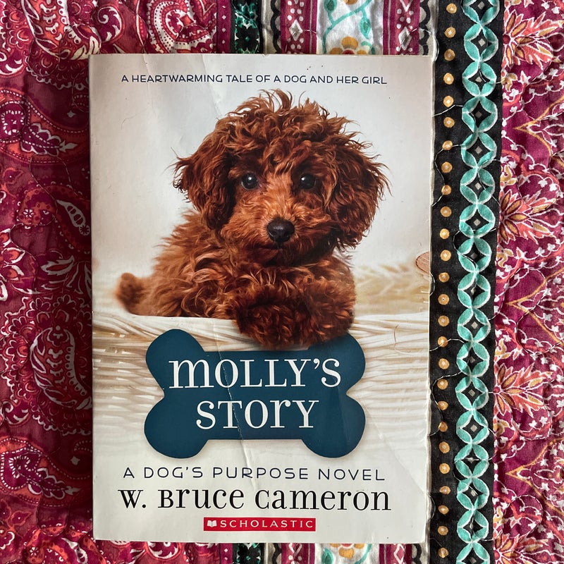 Molly’s Story 