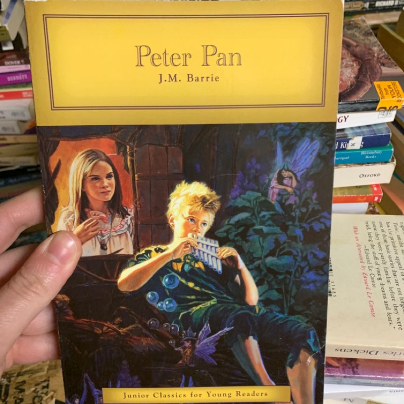 Peter Pan (Junior Classics for Young Readers)