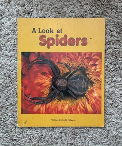 A Look at Spiders