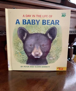A Day in the Life of a Baby Bear