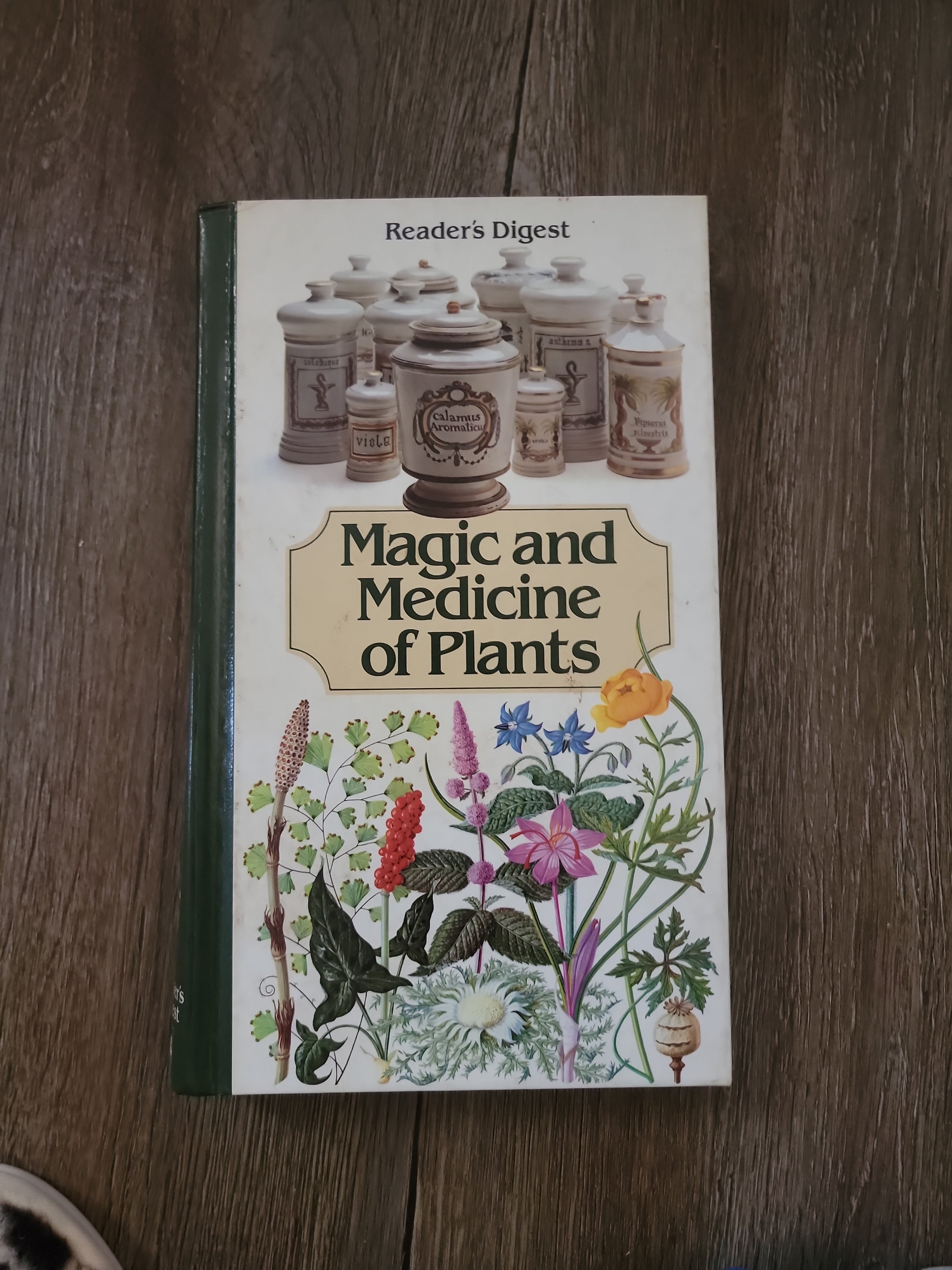 Magic and Medicine of Plants