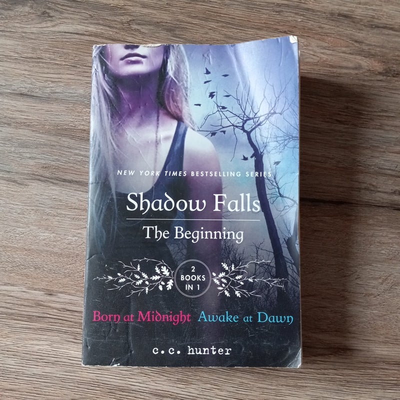 Shadow Falls The Beginning