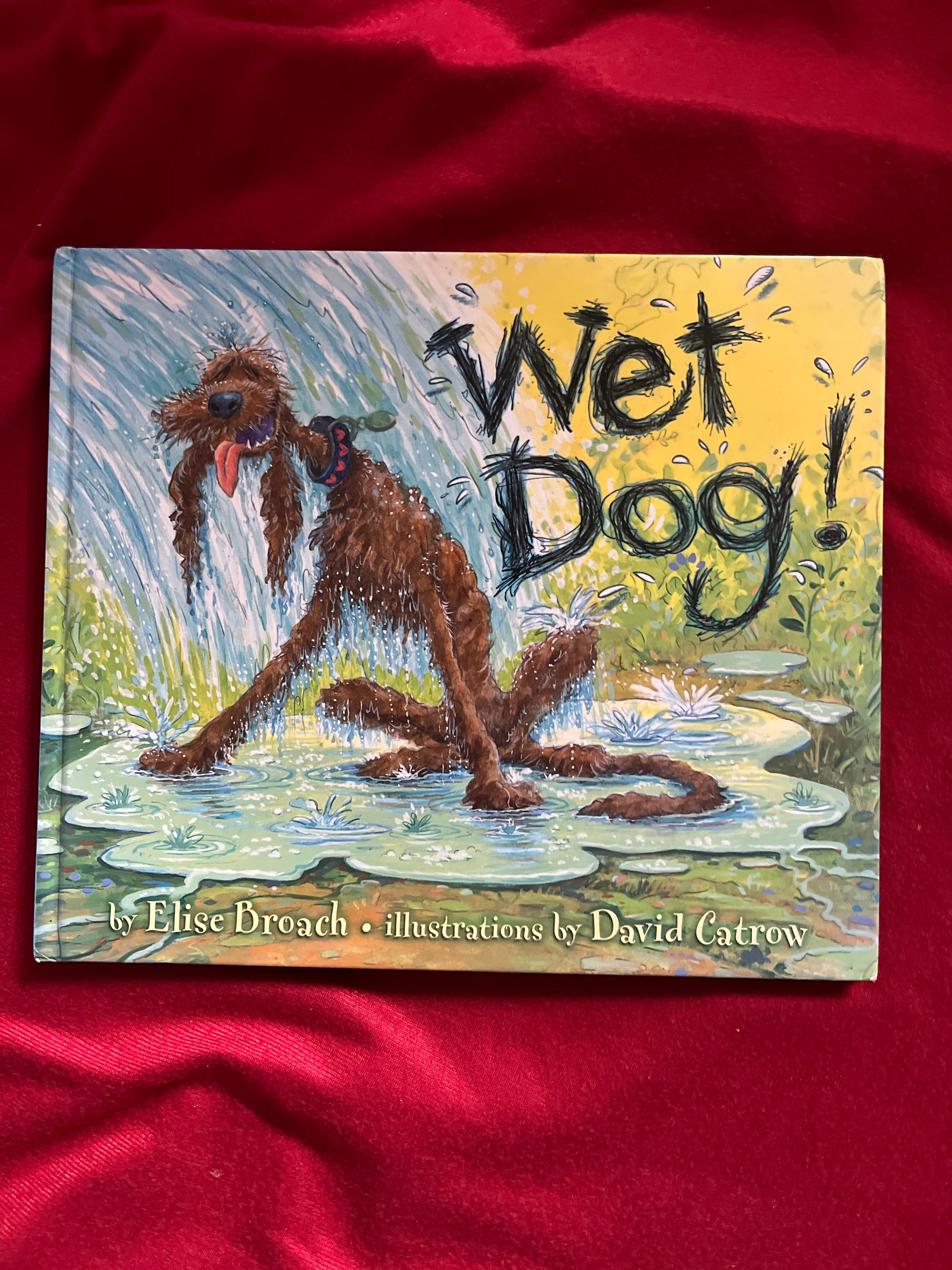 Wet Dog!