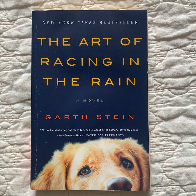 The Art of Racing in the Rain