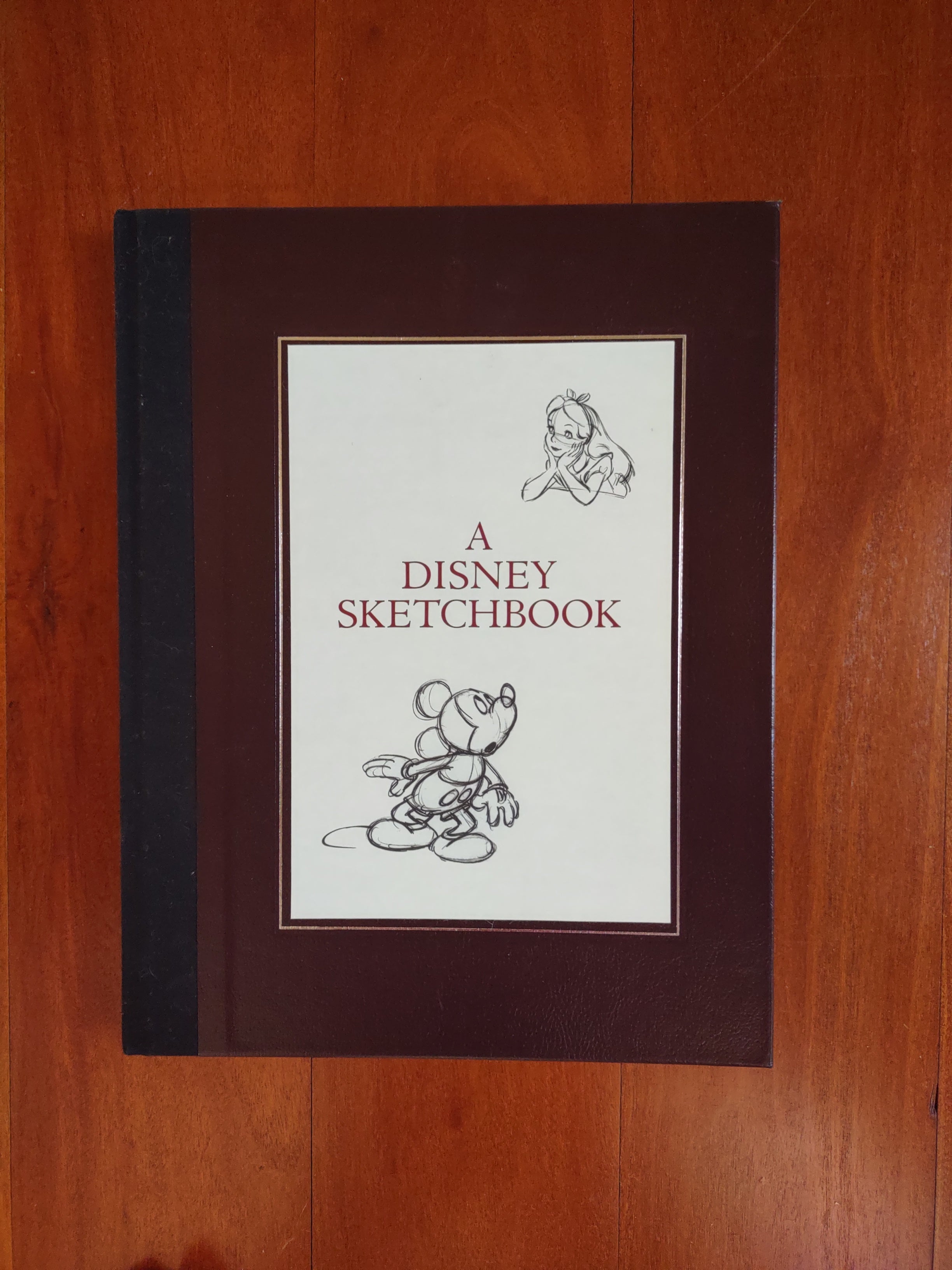 A Disney Sketchbook