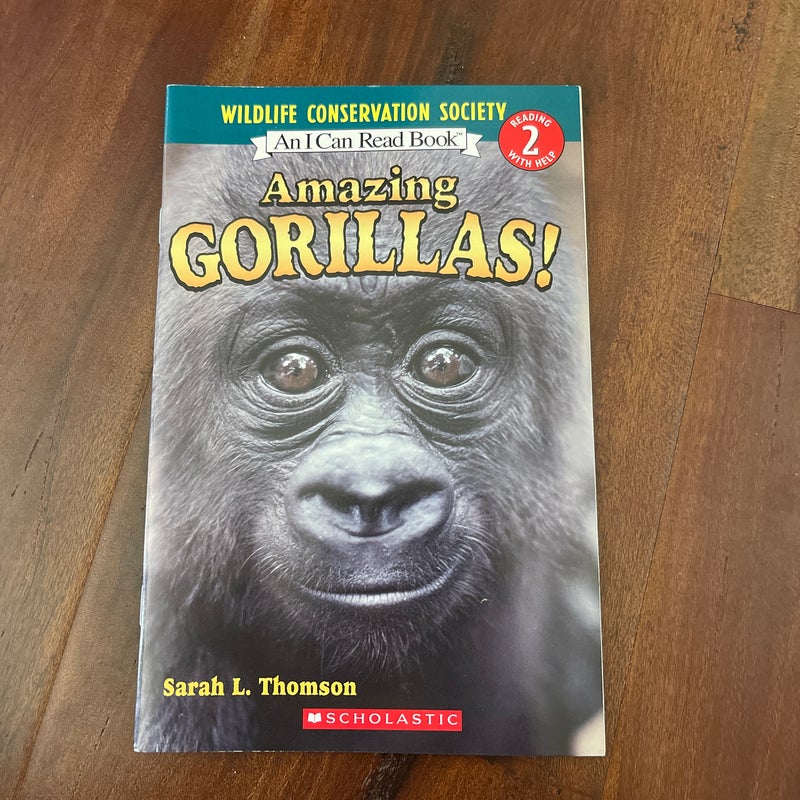 Amazing Gorillas! 