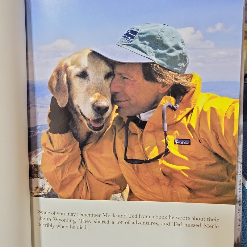 Pukka and Puka's Promise 