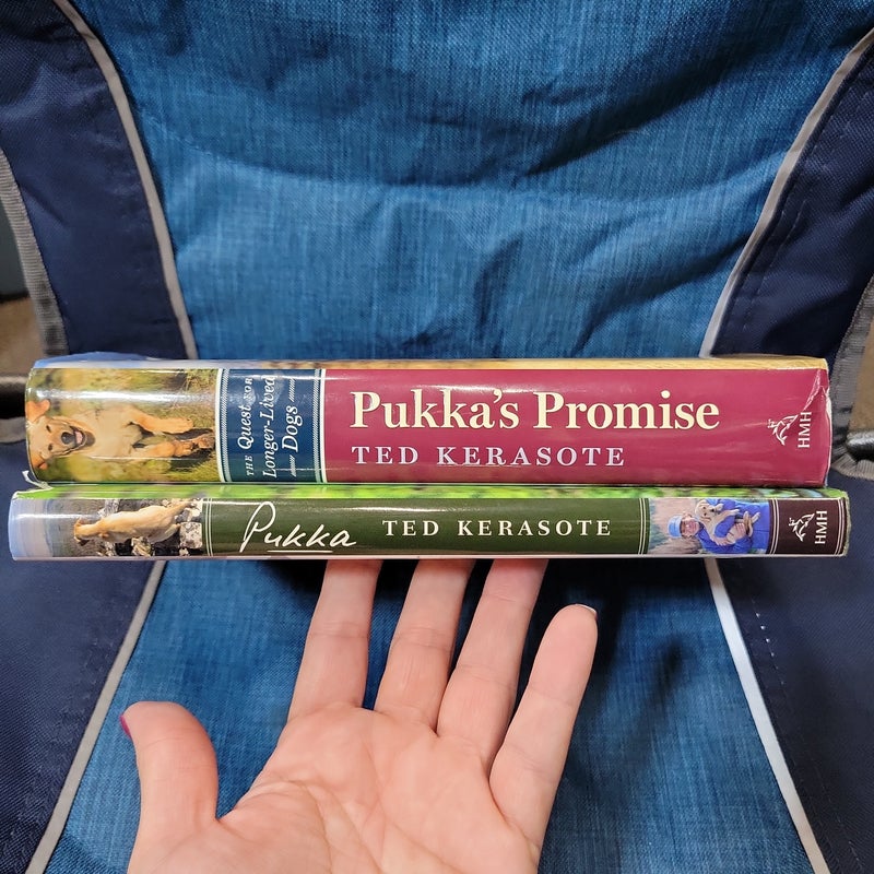 Pukka and Puka's Promise 