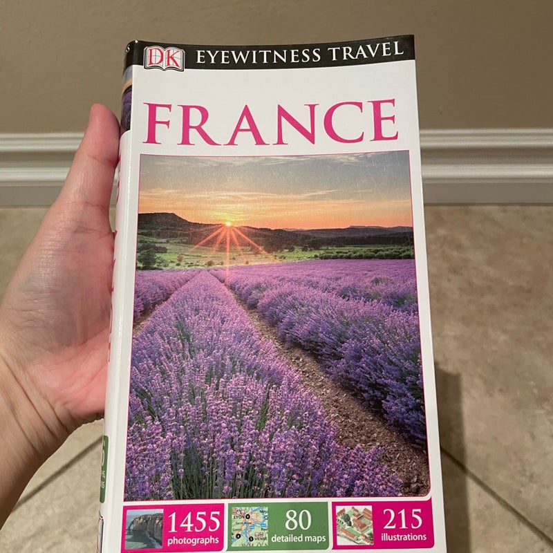 France DK Eyewitness Travel Book. Excellent condition.