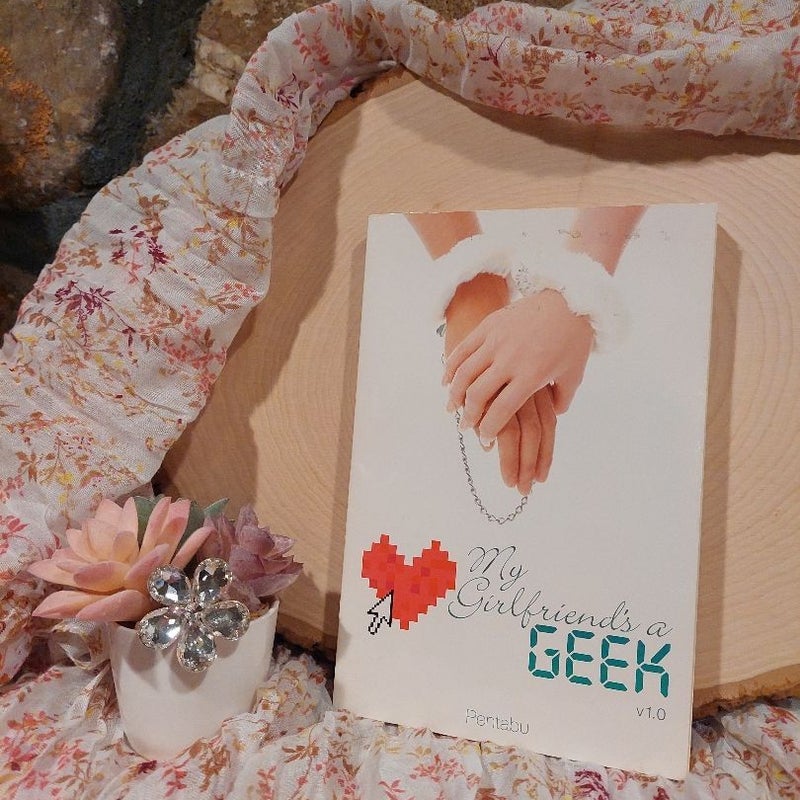 My Girlfriend's a Geek, Vol. 1 (light Novel)