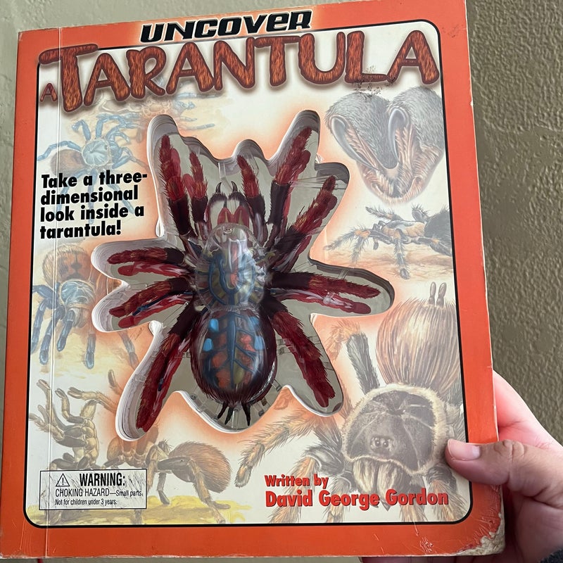 Uncover a Tarantula