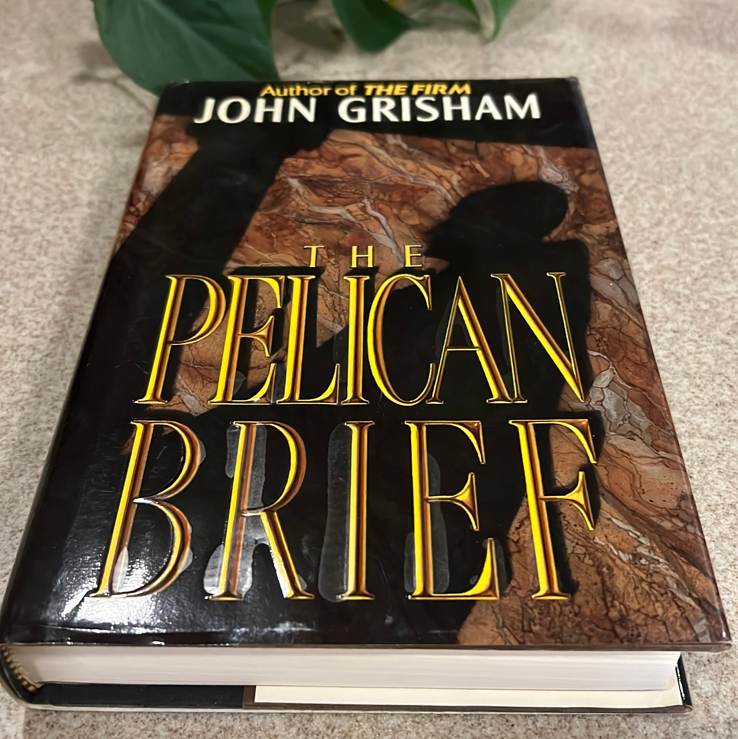 The Pelican Brief