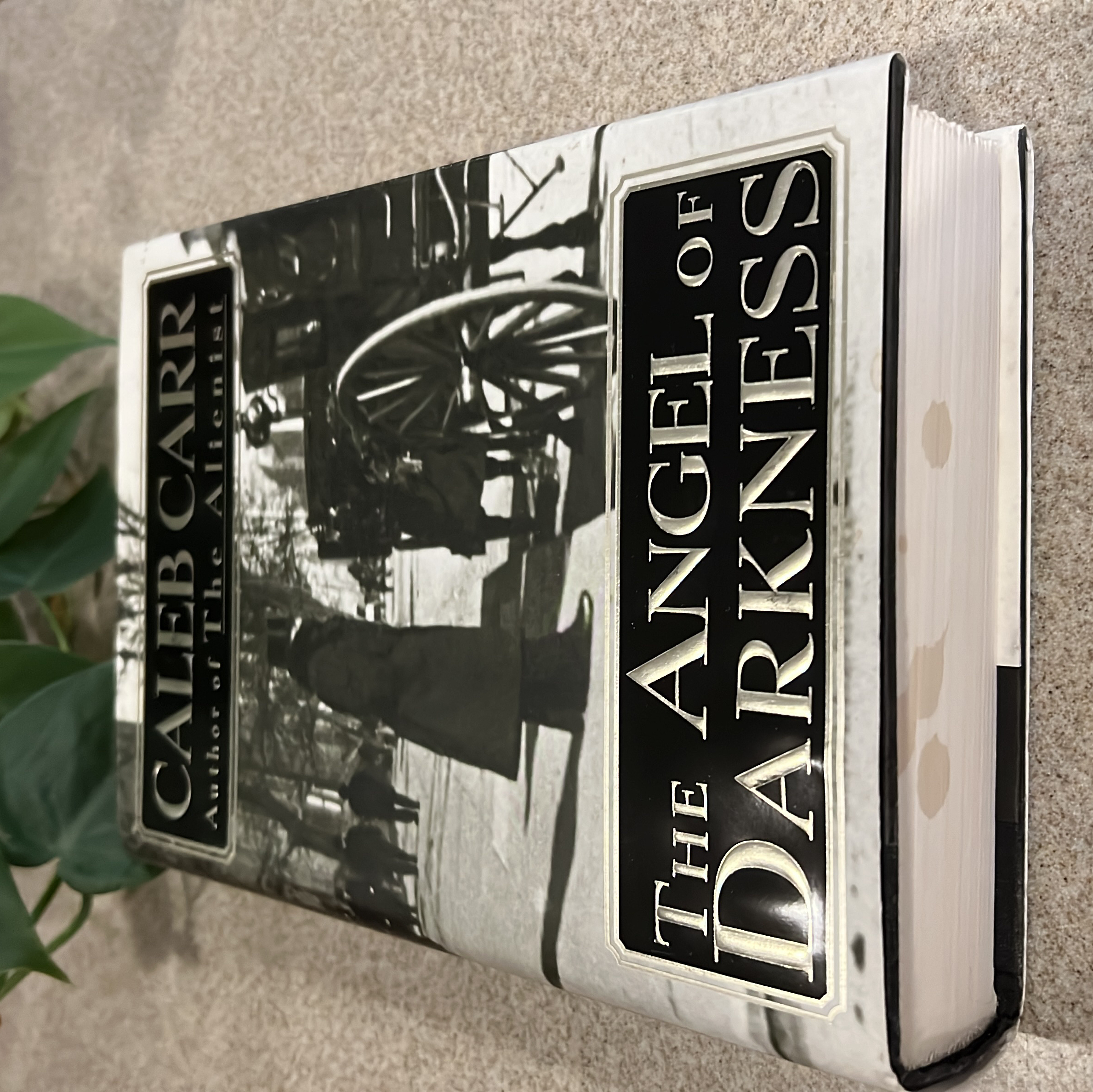 Sale image for 184ae410-bc4d-40a4-a7bc-31fe3e6b8a92-9KNlkrDKb1iqFElVlDIqK-79fceb30-df15-43b7-8d1f-a836de1aa579-UrZjcftRsDcotWU6PA6IC1ZRn7c2