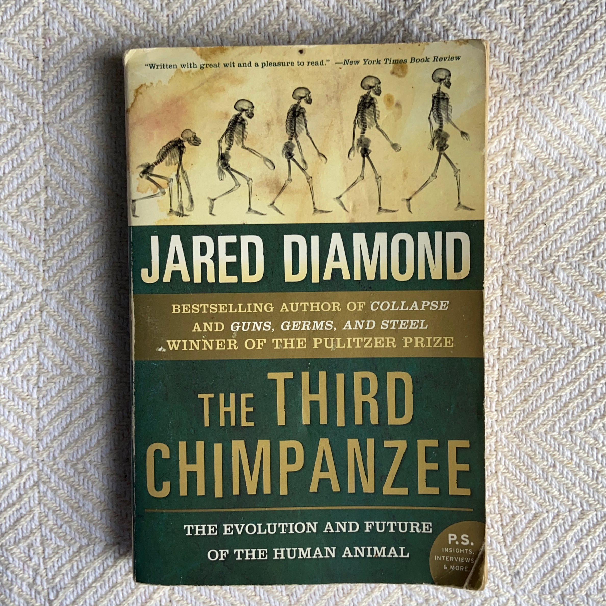 The Third Chimpanzee