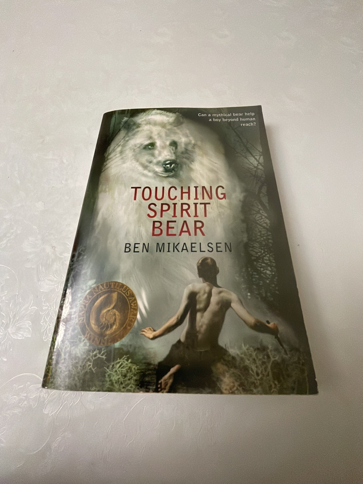 Touching Spirit Bear