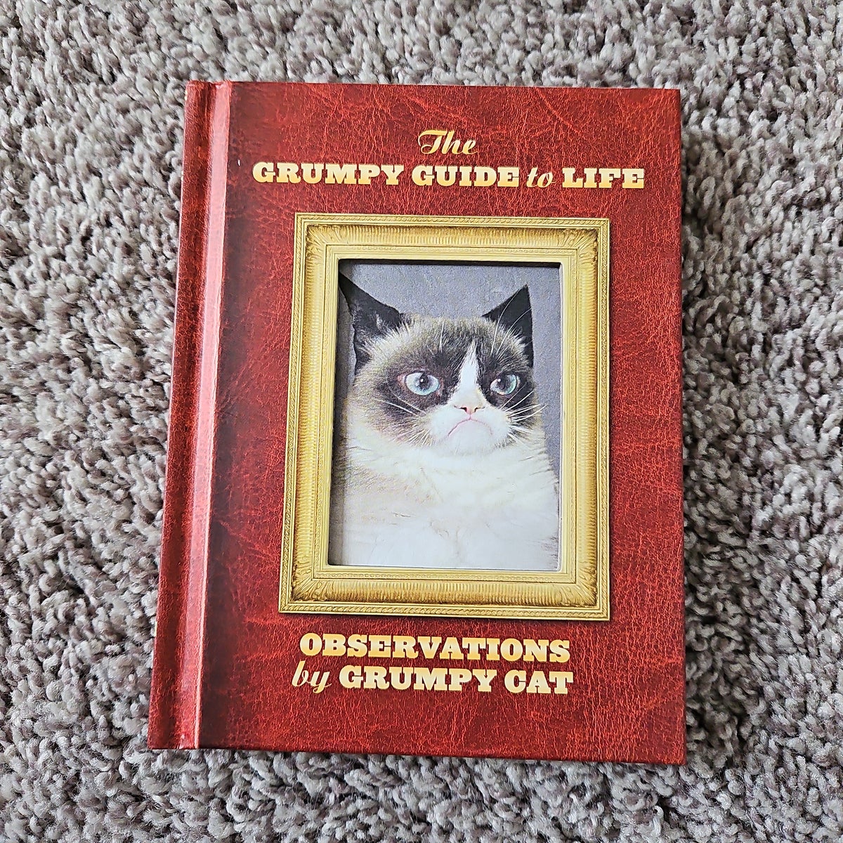 The grumpy best sale guide to life