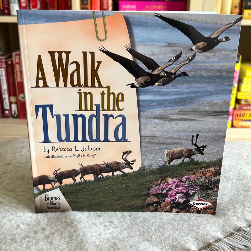 A Walk in the Tundra