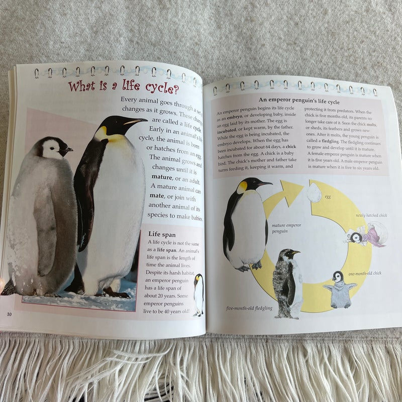 The Life Cycle of an Emperor Penguin by Bobbie Kalman, Paperback ...