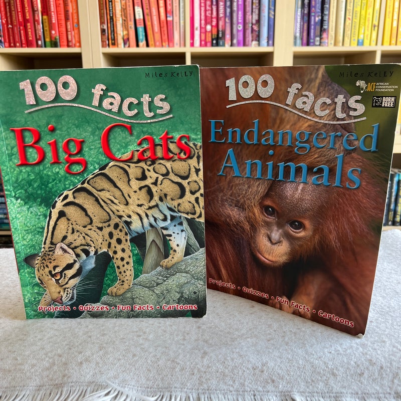 Big Cats