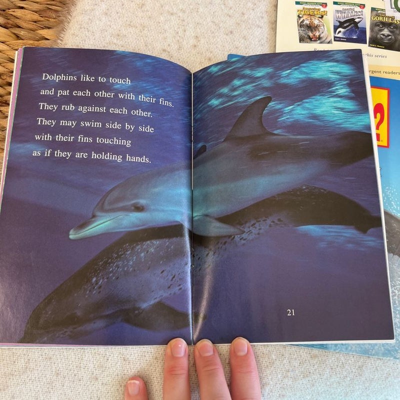 Ocean Animals: Who Would Win, Amazing Sharks, Amazing Dolphins